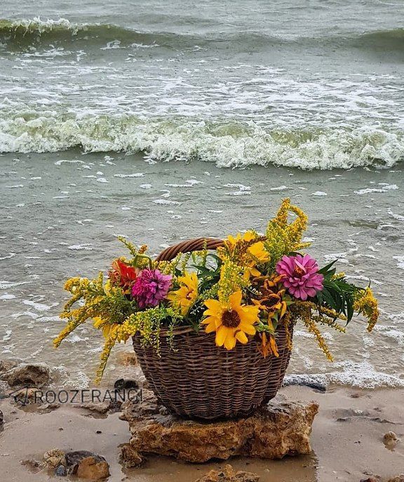 🍃﷽🍃 سنگ صبور🍃﷽🍃: 🌻 در آخرین روز اَمرداد🌿خوشه های برکت🌻نصیب شما باشه 🌿 دلهاتون گرم محبتو بخشندگی باشه🌿زندگیتون 🌻مملو از خوشبختی و آرامش🌿رو