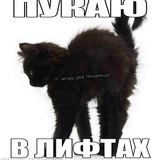 адопты ветти(⁠人⁠*⁠´⁠∀⁠｀⁠)⁠｡⁠*ﾟ⁠+