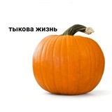 muzTVыква 😼