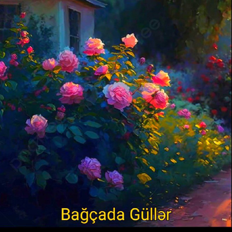 GÜNEY AZƏRBAYCAN SƏSİ: رسانه پست