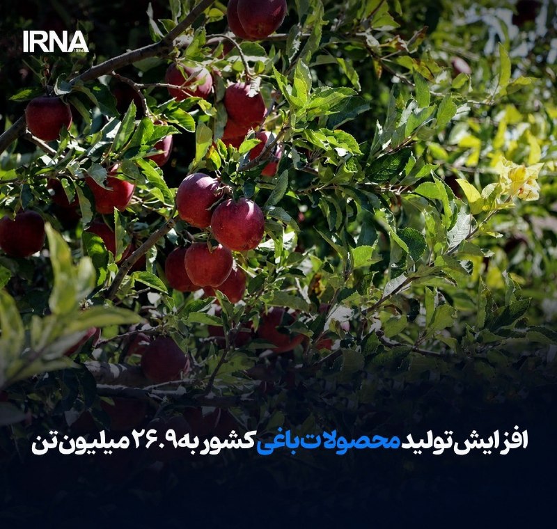 סגן שר הג'יהאד החקלאי הודיע: