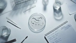 В этот день человек впервые покорил космос, а ещё родился новый мэшик! Вашему вниманию — Mash Lab.Это медиа о нас с вами, технологиях и знаниях. Там будем исследовать, как открытия меняют быт, культуру, мир! Всё в нашем лёгком привычном вам стиле и с долей