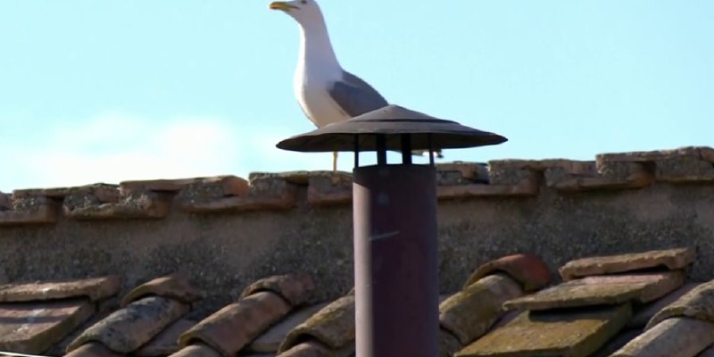 Conclave officially begins to select a new pope