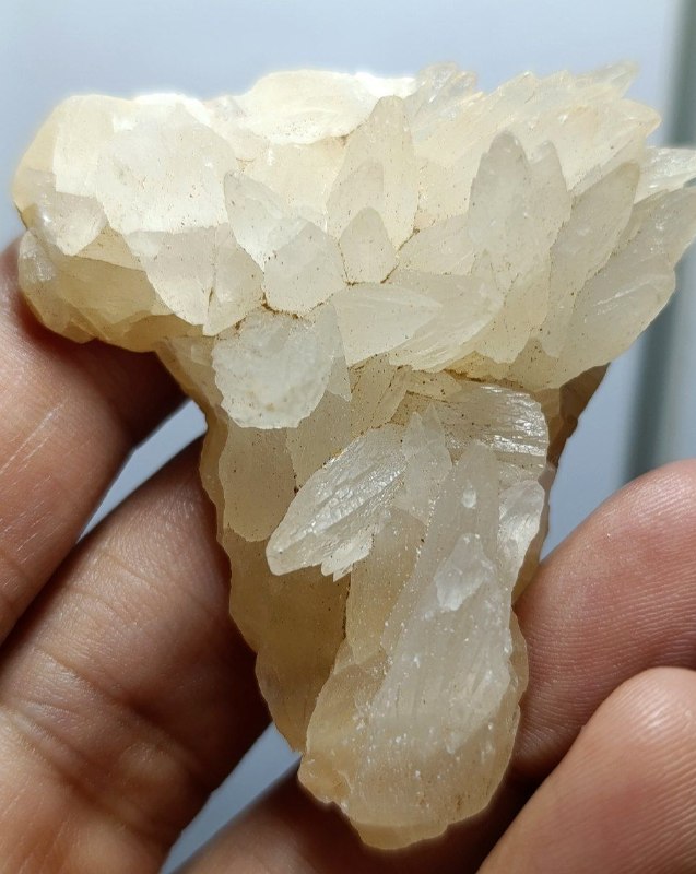 گالری سنگها و کانیهای راد: C2523کلسیت اسکالنوئدر گلبرگی با گلهای جذاب، نمونه ای نمایشگاهی و خاص😍😍😍😍😍😍ابعاد 5*5/8 سانتقیمت پیوی 🌹🌹🌹C2523کلسیت اسکال