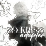 ㅤㅤ• Aɗᥲρᴛᥱr ﹫. 𐍃᧐ κriss 🐇