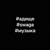 Тимик и его команда 😺