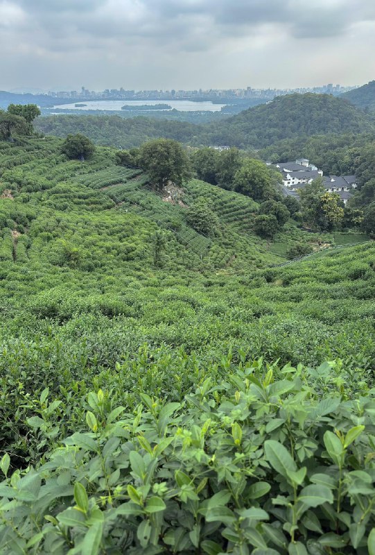 远离网络，沉浸式游走数日误入茶山，一览江湖远离网络，沉浸式游走数日误入茶山，一览江湖