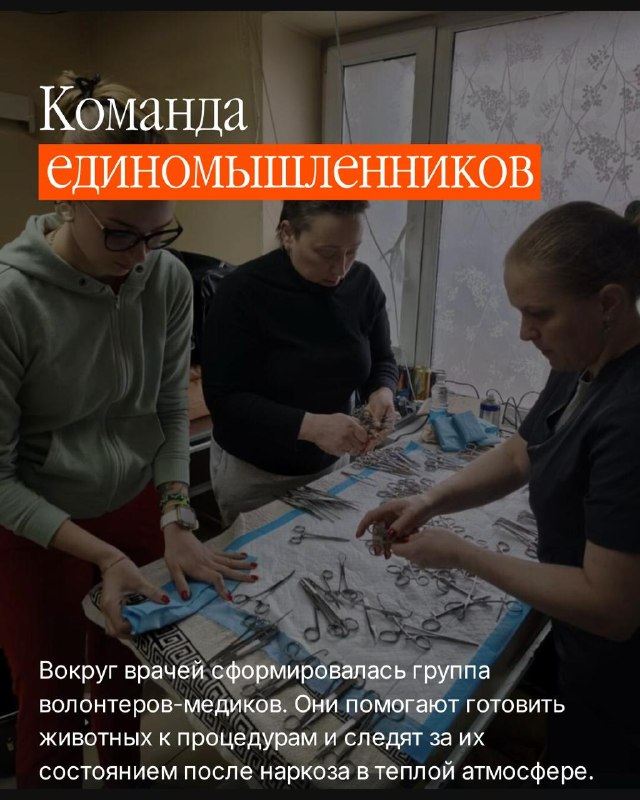 @help_animal41 posted a photo