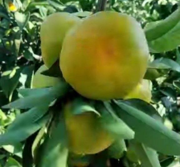 🌟قائمشهریها🌟: ‌‌‌‌‌‌‌‌‌‌‌‌‌‌‌‌‌‌‌‌‌‌‌‌‌‌‌‌‌‌‌‌‌‌‌‌‌‌‌‌‌‌‌‌‌‌‌‌‌‌‌‌‌‌‌‌‌‌‌‌‌‌‌‌‌‌‌‌‌‌‌‌‌‌‌‌‌‌‌‌‌‌‌‌‌‌‌‌‌‌‌‌‌‌‌‌‌‌‌‌‌‌‌‌‌‌‌‌‌‌‌‌‌‌‌‌‌‌‌‌