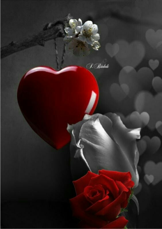 حس خوب: 🌹هی غصه می خوریمولی هنوز باور نداریم یکی اون بالاست که حواسش به ما هست و از هر کسی مهربونــتره به ما ...ببین دوست من ،❤️