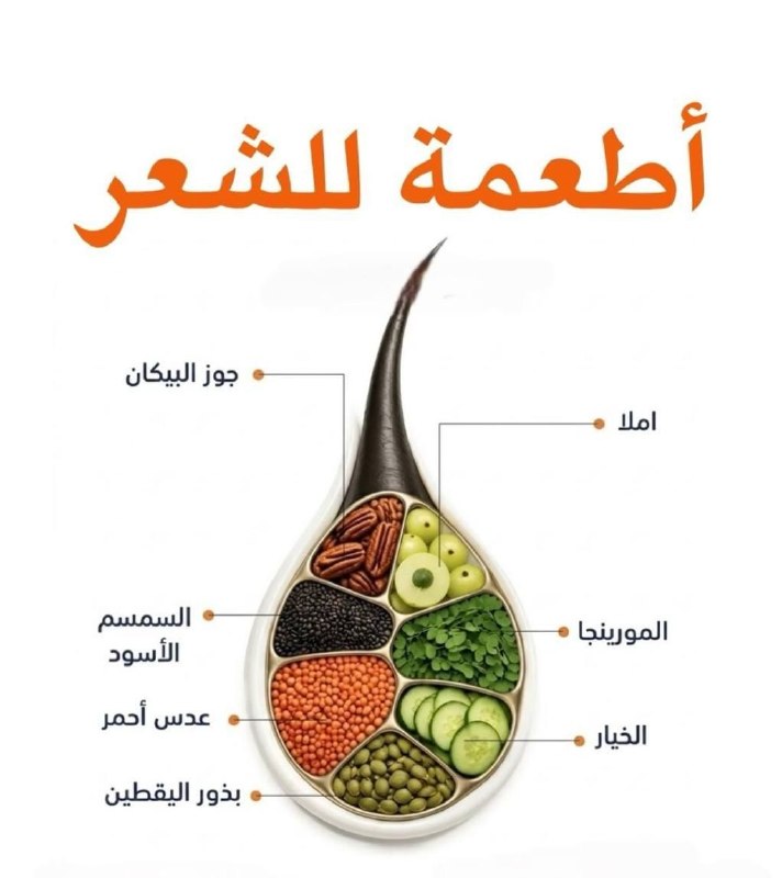 🇮🇶 חדשות אל נחיל 🇮🇶