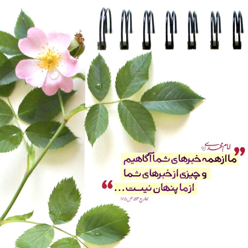 ال یاسین( س): 🌸 ما از شما باخبریم...!امام مهدی علیه السلام:ما از همه خبرهای شما آگاهیم و چیزی از خبرهای شما از ما پنهان نیست.📚بحار،ج۵۳
