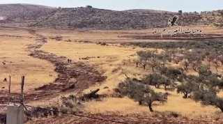 כמדי יום, מתנחלים משחררים את בעלי החיים שלהם לאדמות חקלאים בכפר אל-מוג'יר, צפונית מזרחית לרמאללה.