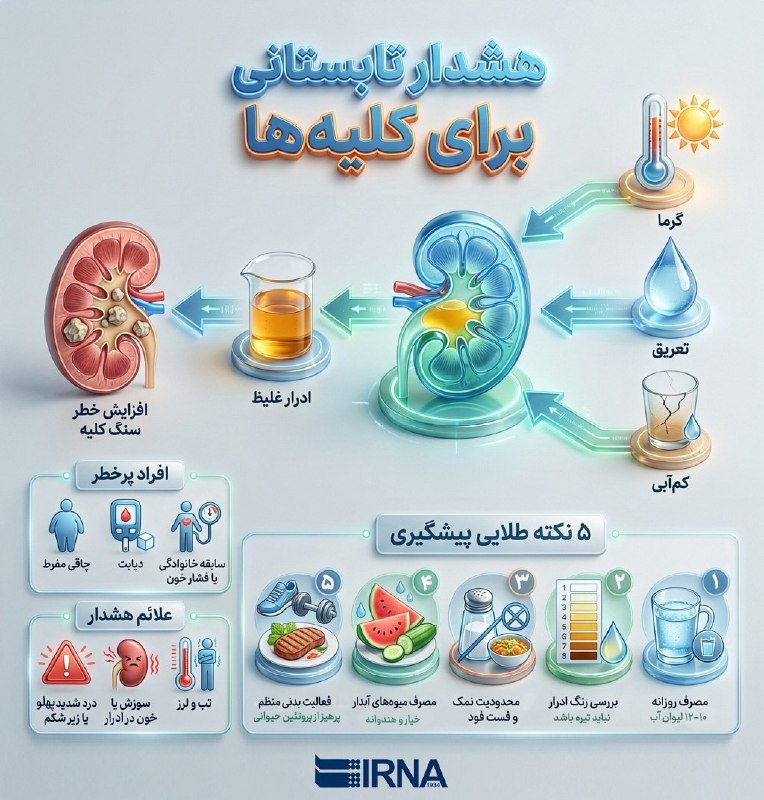 📋 אזהרת קיץ של IFO IRNA לכליות
