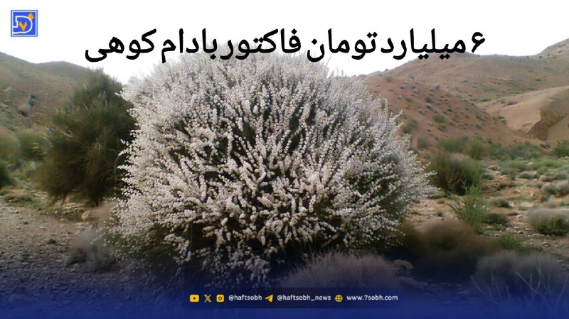 آسوندار (لیلا مرگن، خبرنگار): 🔹افزایش اعتبارات مسئولیت‌های اجتماعی فولاد مبارکه، ذره‌بین رسانه‌ها را به سمت هزینه کرد این اعتبارات برد.🔹بر اساس اسناد 