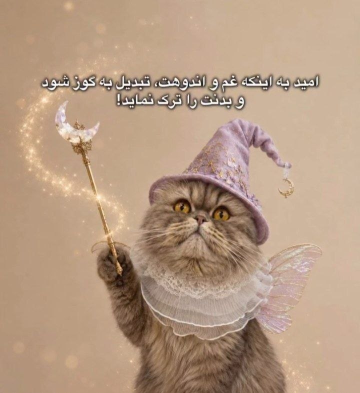 |𓃱 مِلمـَـــــن|: [مِلمَن]