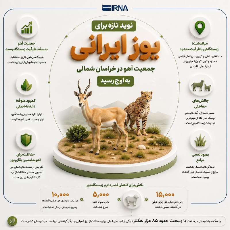 📋 מידע IRNA הגידול באוכלוסיית חזירי הבר בשמורת חיות הבר מיאנדשט עד לקצה גבול יכולת בית הגידול נחשבת לצעד א…