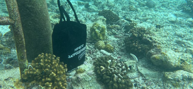 Задача про степени защиты, обеспечиваемые оболочками