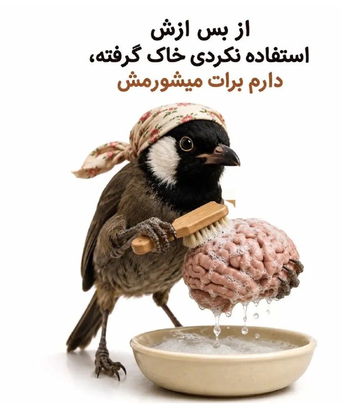 حَوّای‌ بی تو: از بس ازش استفاده نکردی خاک گرفته،دارم برات میشورمش😉👍