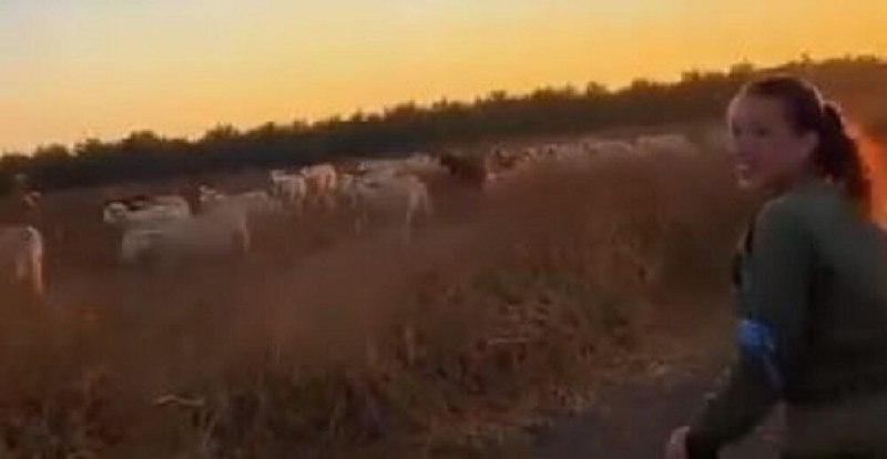 🔸 לעג לצבא הממשלה הזמנית של סוריה על ידי החיילות של ישראל