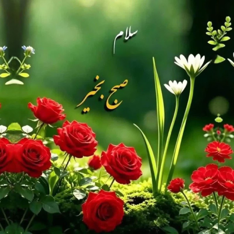 زواره نیوز: ☀️ امروز دوشنبه ۹ شهریور ۱۴۰۵🌙 ۱۸ ربیع الاول ۱۴۴۸🎄 ۳۱ اوت ۲۰۲۶🔸ذکر روز : یا قاضی الحاجات (۱۰۰مرتبه)💠‌️‌‌‌‌‌‌‌‌‌‌‌️‌‌‌‌‌‌