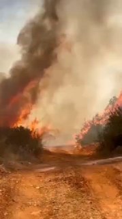 שריפה גדולה מאכלת שטחים נרחבים ביערות העיירה עין ג'ורפה שבמחוז חסבאיה, והאנשים קוראים לנוגעים בדבר להתערב ב…