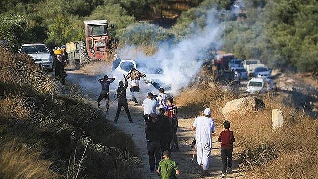 דחוף | ועדת התנגדות חומה והתנחלויות: 13 פיגועים שביצעו כוחות ישראל והמתנחלים נגד חקלאים, אדמותיהם ורכושם ב…