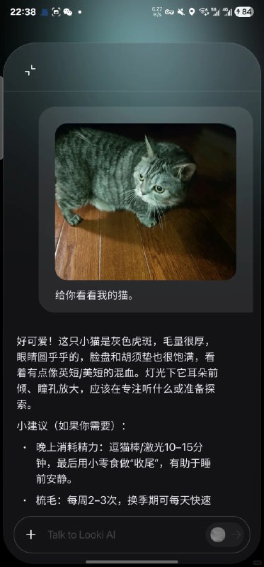 最近的新玩具，一个每隔一分钟记录几秒的全天候 AI 相机——Looki L1