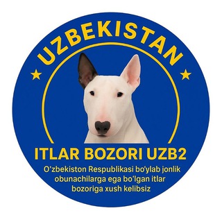 itlar bozori N/1🥇🏆