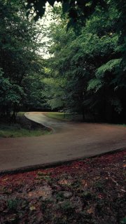 https://t.me/bmw_mpower_club