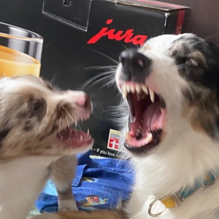 angelina🫠 chat Telegram Group Link