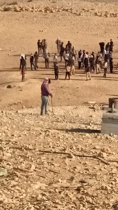 مستوطنون يقتحمون منطقة في بادية يطا بالخليل