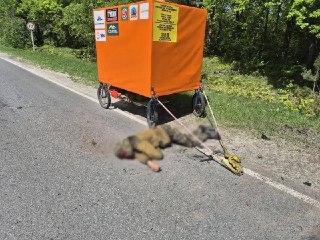 В Брянской области путешественник Саша Конь погиб от удара дронаОб этом сообщили «РИА Новости» со ссылкой на оперативные службы региона, блогер и путешественник Саша Конь, который планировал добраться до Бразилии с самодельной повозкой, погиб в результате 
