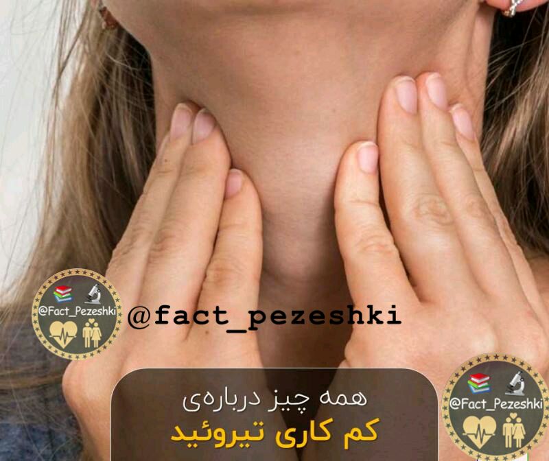 ❣ ترفند│Tarfand ❣: 💢علائم کم کاری تیروئید 🔘خستگی🔘یبوست🔘احساس سرما🔘خشکی پوست🔘افزایش وزن🔘ضعف ماهیچه ای🔘کاهش تعریق🔘ضربان قلب کند🔘بالا رفتن کلس