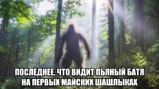 Каждый третий россиянин верит в существование леших, каждый пятый — в русалок. Такие цифры выкатил ВЦИОМ в свежем опросе о вере в мистику.81% участников не исключили, что в мире существует хотя бы одно сверхъестественное чудо. В списке: традиционные религи