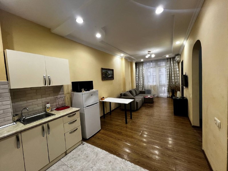 квартира на Лука Асатиани, 32а — фото 1