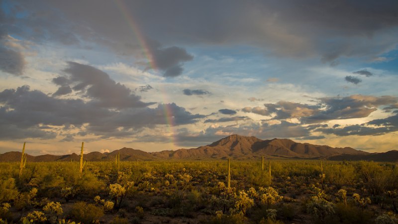 The sky is the limitRainbow over Wasson Peak, Saguaro National Park, Arizona (© Frank Staub/Getty Images)