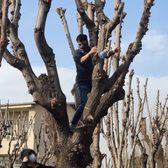 سڪــــوت ممنوع: دانشجوی کارشناسی ارشد کامپیوتر دانشگاه صنعتی آریامهر، از دانشگاه اخراج شد.جرمش: آویختن عروسک موش به درخت.♡ ❍ㅤ ⎙ㅤ ⌲ ˡᶦᵏᵉ