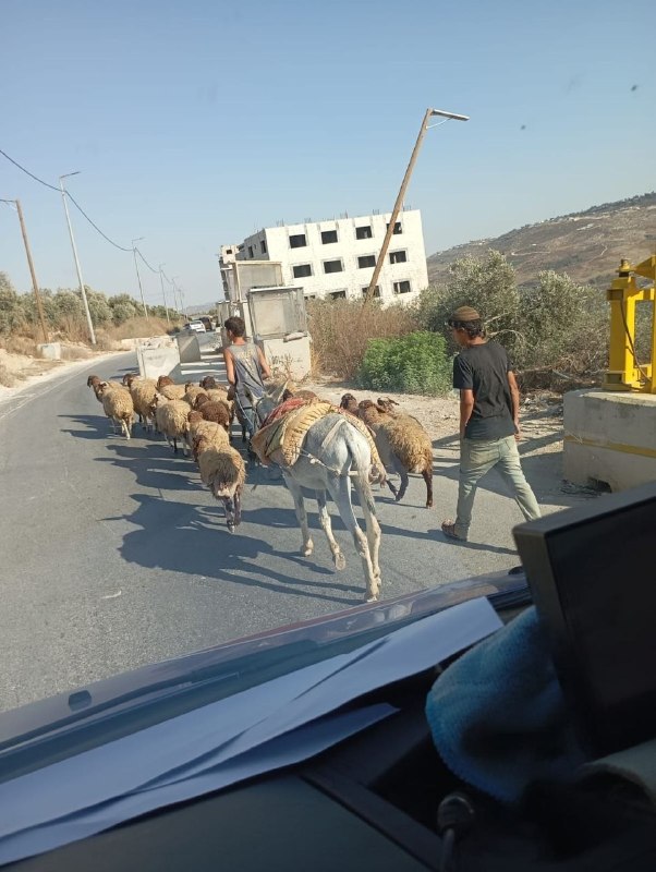 רשת חדשות ירושלים