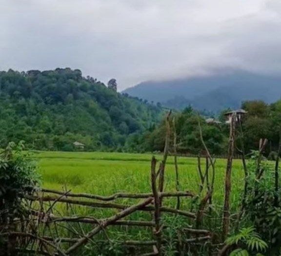 ☔ کانال مازندران هوای شمال ☔: 