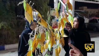 🎥 הערות לב על עלי התשוקה; ביטוי לאחדות הנפגעים של איראן ואפגניסטן בצ'אדבה