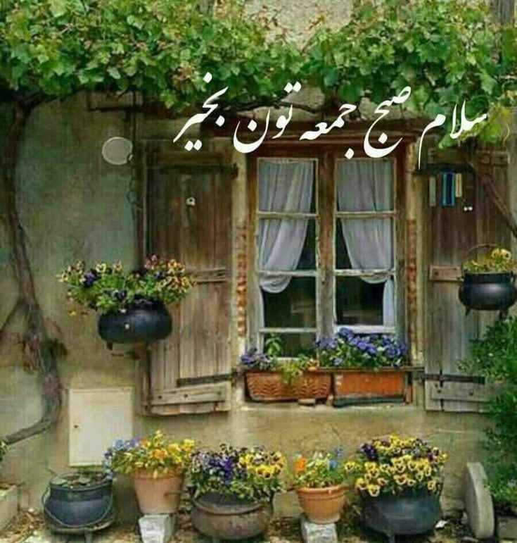 اخبار چکنه و سرولایت: 🌸 سلام، صبح جمعهتون بخیر و شادی 🌸جمعه آمده تا کمی آرامتر نفس بکشیم،کنار اهل خانواده و عیال بنشینیم، چای بنوشیم ودلهام