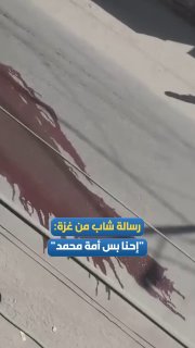 רשת חדשות ירושלים