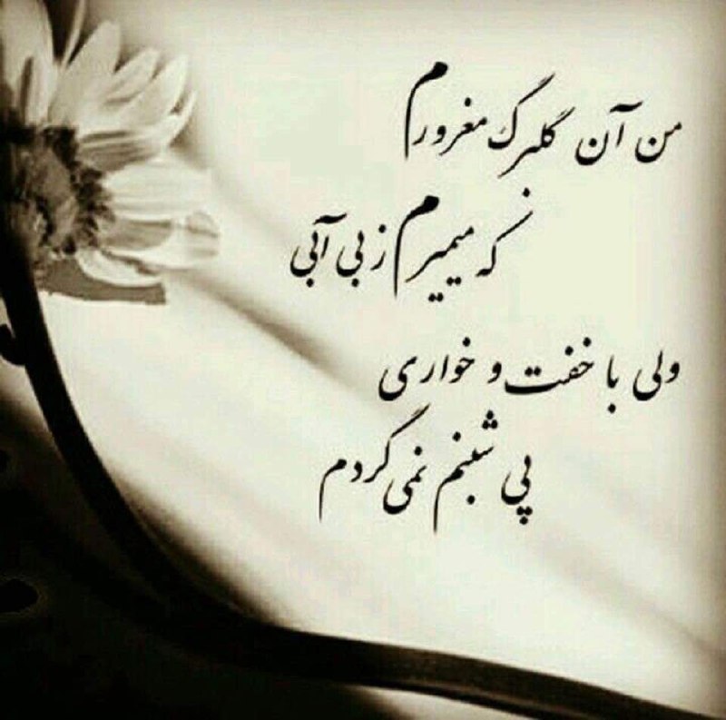 🌹🌹شب شعر🌹🌹: رسانه پست