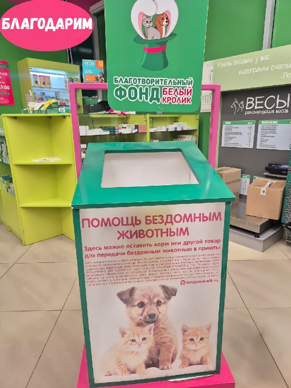 Выражаем благодарность Фонду "Белый...