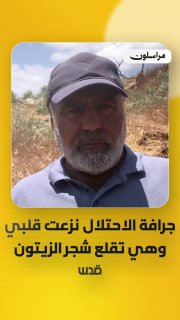 "דחפור הכיבוש עקר את לבי כפי שעקר את עצי הזית".