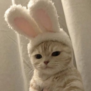 ~общение и знакомства~💗