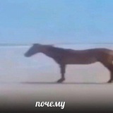 РЕСТ|Почему Риë...ᴿᶦᵞᴼ