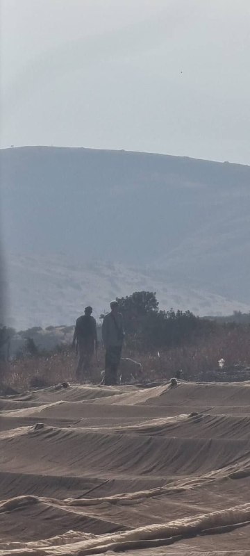 مستوطنون يقتحمون تجمعاً سكانياً في الأغوار الشمالية