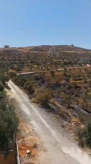 מתנחלים מסתערים על אזור ראס אל-עין בעיירה קסרה, דרומית מזרחית לשכם